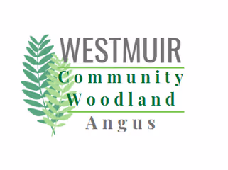 Woodland logo
