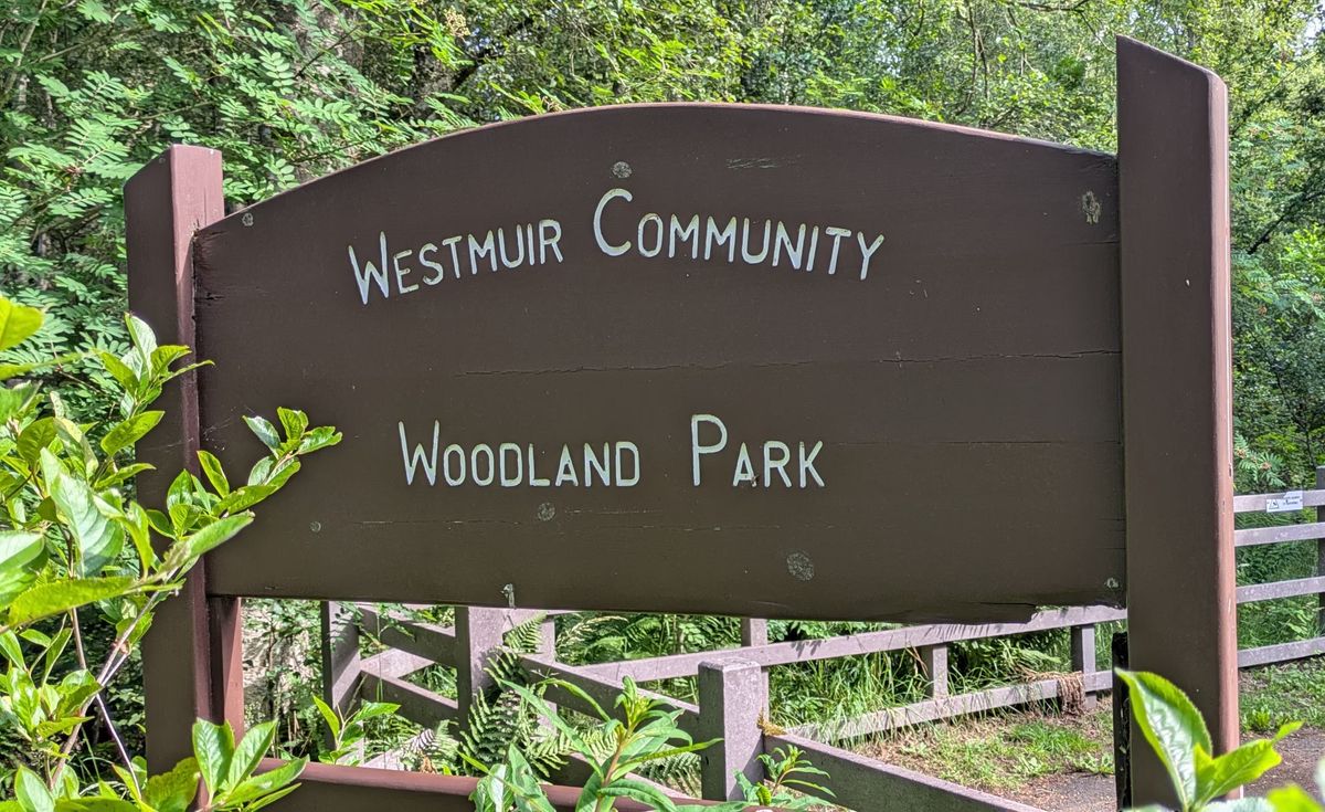 Westmuir Community Woodland