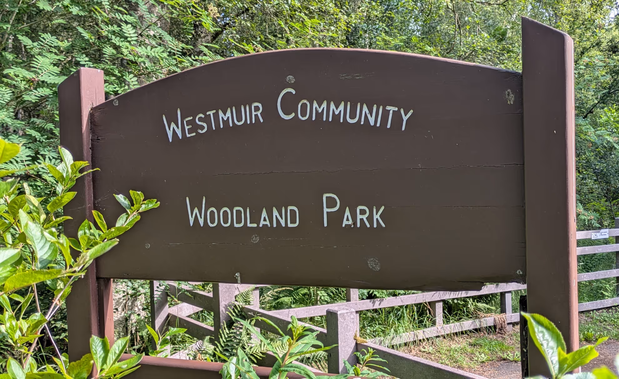 Westmuir Community Woodland
